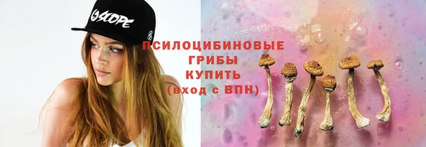 дживик Бутурлиновка
