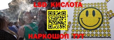 крисы Абакан