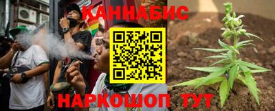 крисы Абакан